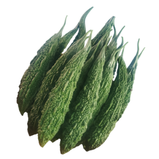 Amruta Bitter Gourd From Known You Seed (India) -KYI